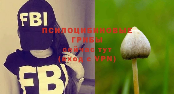 бутират Баксан