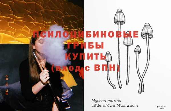 скорость Балахна